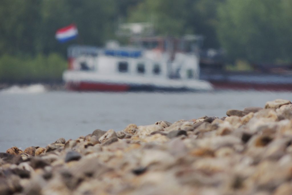 Stenen zoeken langs de Rijn